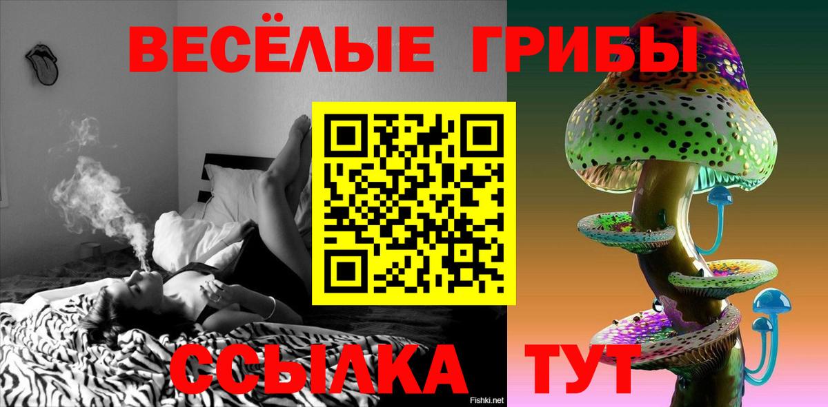 Галлюциногенные грибы мухоморы Гатчина