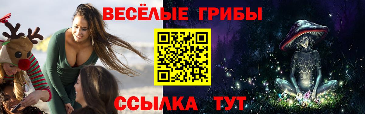 Псилоцибиновые грибы мухоморы  Вход с VPN  Гатчина 